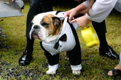 Todd & Celeste's Wedding Day - Sunday