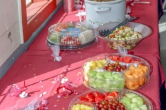 Todd & Celeste's Wedding Day - Sunday