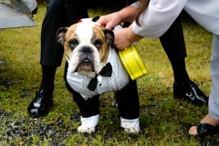 Todd & Celeste's Wedding Day - Sunday