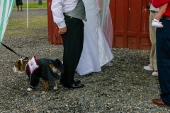Todd & Celeste's Wedding Day - Sunday